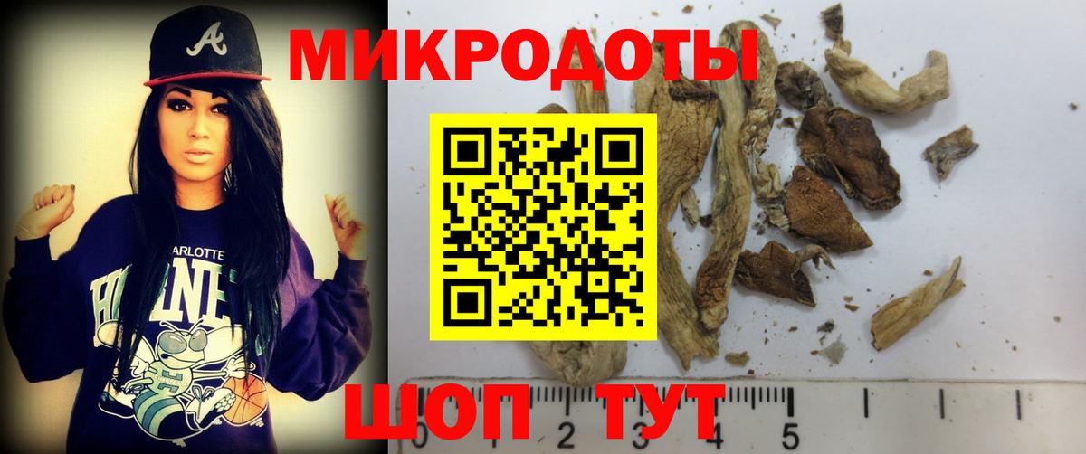 Алапаевск  где купить наркотик  Псилоцибиновые грибы мухоморы  Вход с VPN  Галлюциногенные грибы Magic Shrooms 